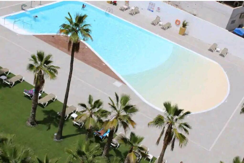 Acogedor Octavo Habitat Daire Maspalomas  Dış mekan fotoğraf